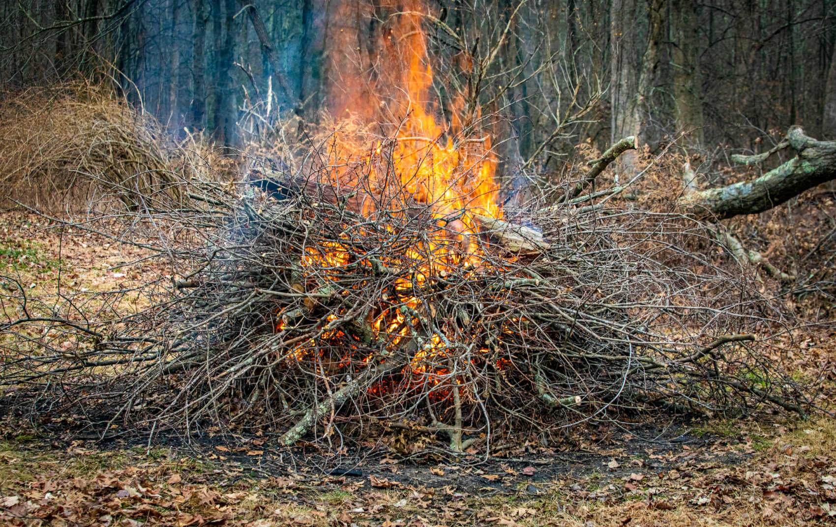 Fire Service Announces TerritoryWide Burn Ban Due to Arid Conditions