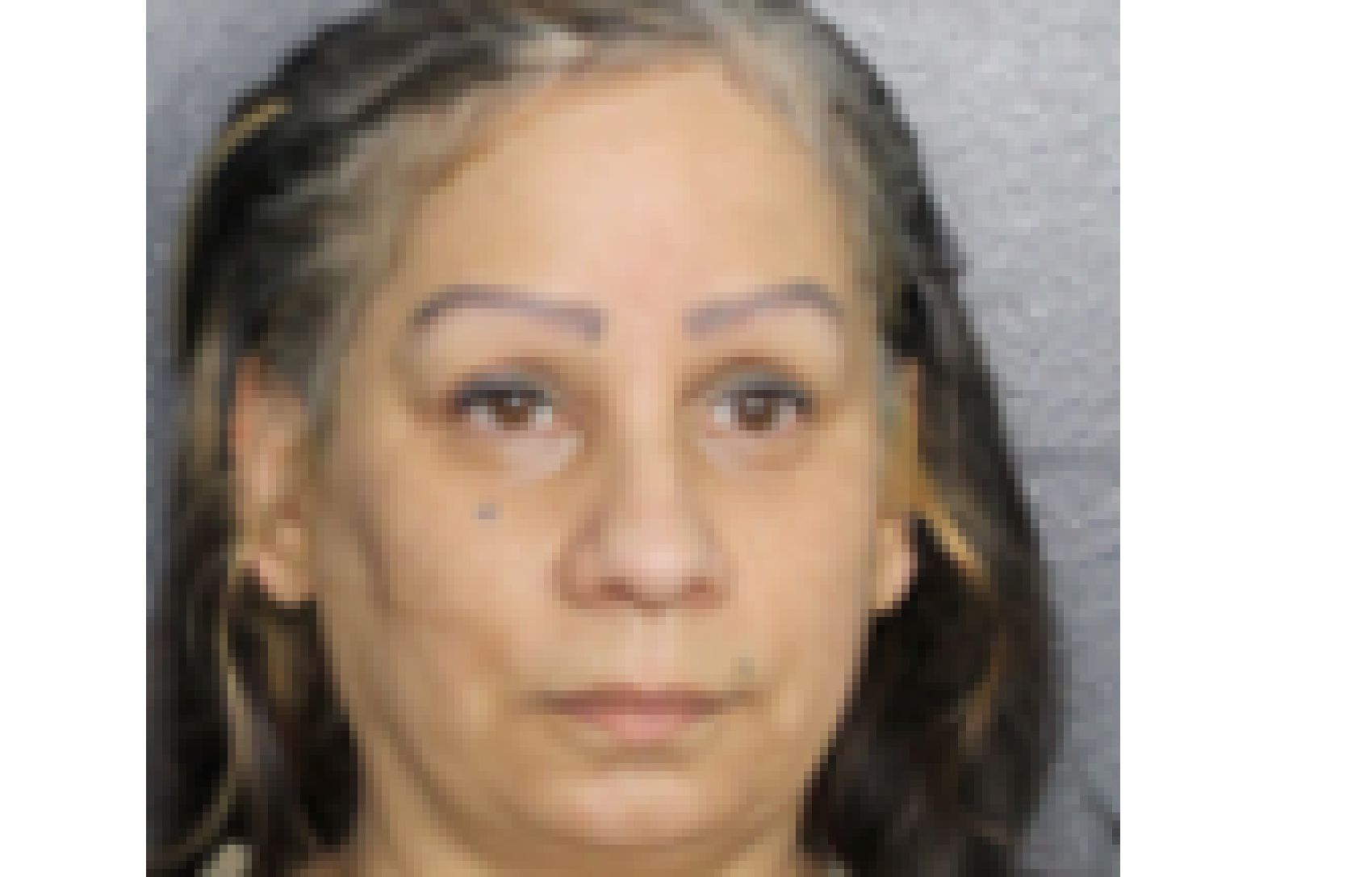 Woman Arrested in Florida For Allegedly Exploiting Elderly St. Croix ...