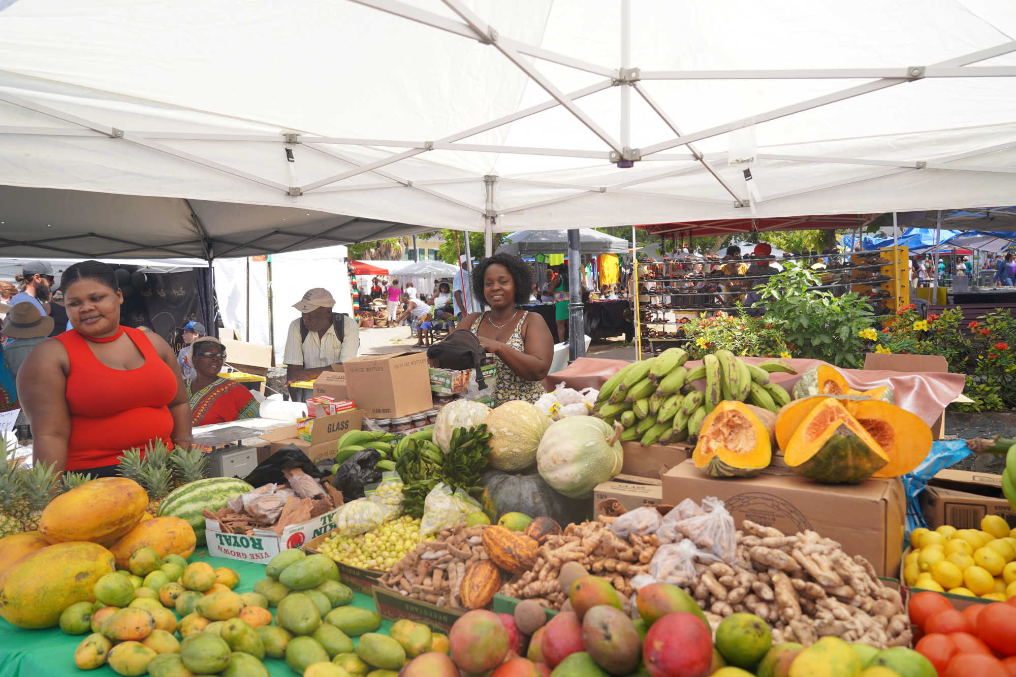 Vendors Happy as Thousands Flock to 2023 Food Fair in St. Thomas